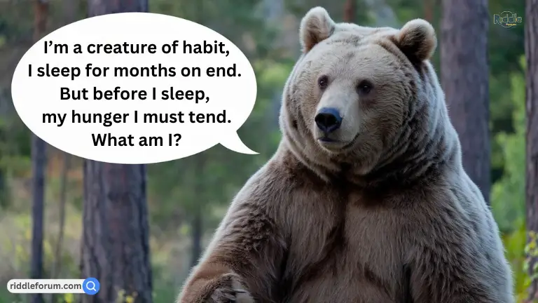 fat bear riddles (1)
