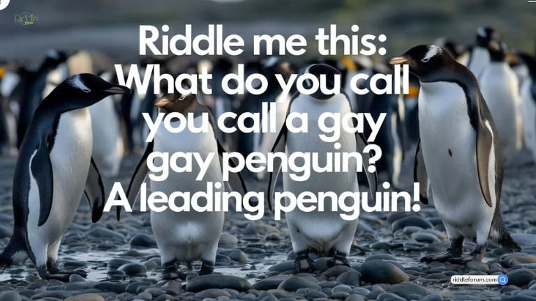 gay riddles (3)